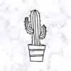 Cowboycactus